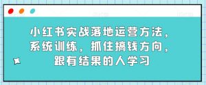 小红书实战落地运营方法，系统训练，抓住搞钱方向，跟有结果的人学习-大东资源库