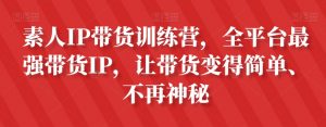 素人IP带货训练营，全平台最强带货IP，让带货变得简单、不再神秘-大东资源库
