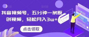 抖音视频号，五分钟一条原创视频，轻松月入3w+【独家秘诀，传授赚钱方法】【揭秘】-大东资源库