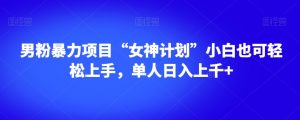 男粉暴力项目“女神计划”小白也可轻松上手，单人日入上千+【揭秘】-大东资源库