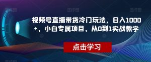视频号直播带货冷门玩法，日入1000+，小白专属项目，从0到1实战教学【揭秘】-大东资源库
