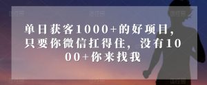 单日获客1000+的好项目，只要你微信扛得住，没有1000+你来找我【揭秘】-大东资源库