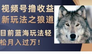 视频号撸收益新玩法之狼道，目前蓝海玩法，轻松月入过万【揭秘】-大东资源库