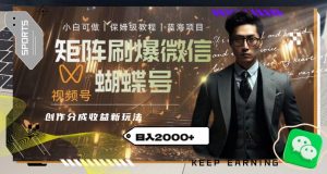 矩阵刷爆微信蝴蝶号创作者分成计划收益的新玩法，日入2000+【揭秘】-大东资源库
