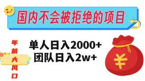 在国内不怕被拒绝的项目，单人日入2000，团队日入20000+【揭秘】-大东资源库