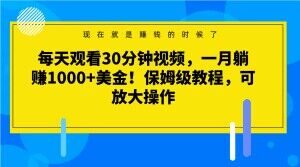 每天观看30分钟视频，一月躺赚1000+美金！保姆级教程，可放大操作【揭秘】-大东资源库