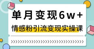 单月变现6W+，抖音情感粉引流变现实操课，小白可做，轻松上手，独家赛道【揭秘】-大东资源库