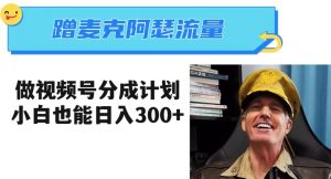 蹭麦克阿瑟热点，做视频号分成计划，小白三分钟一条日入300+【揭秘】-大东资源库