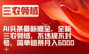 AI头条最新掘金，全新三农领域，不违规不封号，简单粗暴月入6000＋【揭秘】-大东资源库