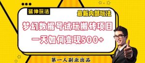 数据号回归玩法游戏试玩搬砖项目再创日入500+【揭秘】-大东资源库