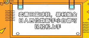 卖莆田篮球鞋，暴利掘金日入四位数新手小白都可以轻松上手【揭秘】-大东资源库
