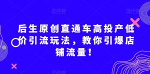 后生原创直通车高投产低价引流玩法，教你引爆店铺流量！-大东资源库
