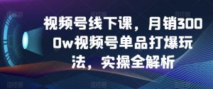 视频号线下课，月销3000w视频号单品打爆玩法，实操全解析-大东资源库