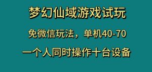 梦幻仙域游戏试玩，免微信玩法，单机40-70，一个人同时操作十台设备【揭秘】-大东资源库