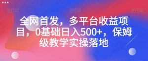 全网首发，多平台收益项目，0基础日入500+，保姆级教学实操落地【揭秘】-大东资源库