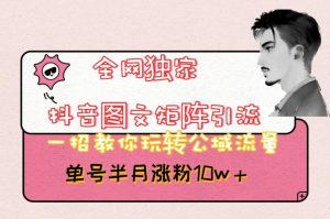 全网独家抖音图文矩阵引流，一招教你玩转公域流量，单号半月涨粉10w+【揭秘】-大东资源库