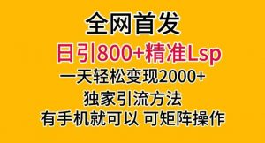 全网首发！日引800+精准老色批，一天变现2000+，独家引流方法，可矩阵操作【揭秘】-大东资源库