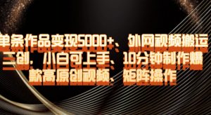 单条作品变现5000+、外网视频搬运二创，小白可上手，10分钟制作爆款高原创视频，矩阵操作【揭秘】-大东资源库