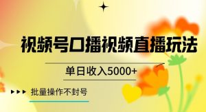 视频号囗播视频直播玩法，单日收入5000+，批量操作不封号【揭秘】-大东资源库