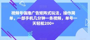 视频号强撸广告矩阵式玩法，操作简单，一部手机几分钟一条视频，单号一天轻松200+【揭秘】-大东资源库