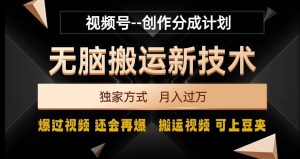 视频号无脑搬运新技术，破原创壕流量，独家方式，爆过视频，还会再爆【揭秘】-大东资源库