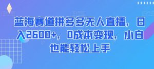蓝海赛道拼多多无人直播，日入2600+，0成本变现，小白也能轻松上手【揭秘】-大东资源库