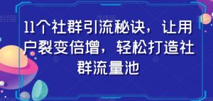 11个社群引流秘诀，让用户裂变倍增，轻松打造社群流量池-大东资源库