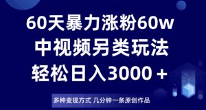60天暴力涨粉60W，中视频另类玩法，日入3000＋，几分钟一条原创作品多种变现方式-大东资源库