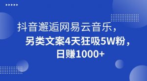 抖音邂逅网易云音乐，另类文案4天狂吸5W粉，日赚1000+【揭秘】-大东资源库