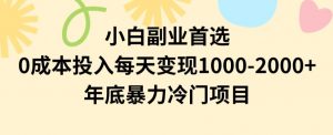 小白副业首选，0成本投入，每天变现1000-2000年底暴力冷门项目【揭秘】-大东资源库