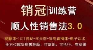 爆款！销冠训练营3.0之顺人性销售法，全方位解决销售难题、可落地、可执行、有结果-大东资源库