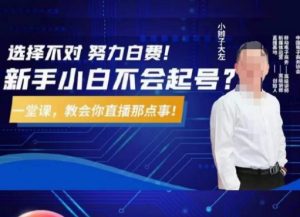 大左教您从0到1做直播带货，选择不对，努力白费，5小时课程搞定那点事，解决你起号问题-大东资源库