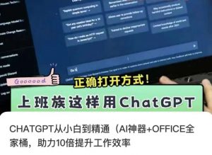 CHATGPT从小白到精通，AI神器+OFFICE全家桶，助力10倍提升工作效率-大东资源库