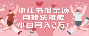 小红书相亲项目玩法拆解，有人通过这个副业项目做到了月收入2万多【揭秘】-大东资源库