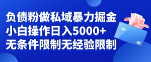 负债粉私域暴力掘金，小白操作入5000，无经验限制，无条件限制【揭秘】-大东资源库