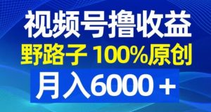 视频号野路子撸收益，100%原创，条条爆款，月入6000＋【揭秘】-大东资源库