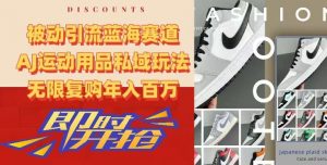 被动引流蓝海赛道，AJ运动用品私域玩法，无限复购年入百万【揭秘】-大东资源库