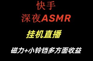快手深夜ASMR挂机直播，磁力+小铃铛收益（附带工具和5G素材）【揭秘】-大东资源库