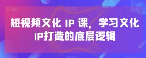 短视频文化IP课，学习文化IP打造的底层逻辑-大东资源库