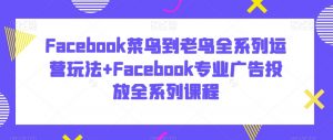 Facebook菜鸟到老鸟全系列运营玩法+Facebook专业广告投放全系列课程-大东资源库