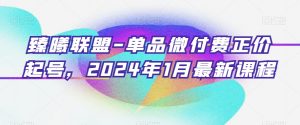臻曦联盟-单品微付费正价起号，2024年1月最新课程-大东资源库