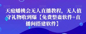 天庭蟠桃会无人直播教程，无人值守礼物收到爆【免费整蛊软件+直播间搭建软件】-大东资源库