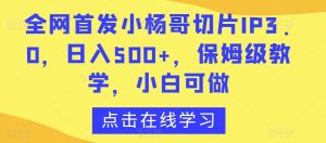 全网首发小杨哥切片IP3.0，日入500+，保姆级教学，小白可做【揭秘】-大东资源库