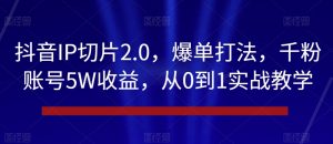 抖音IP切片2.0，爆单打法，千粉账号5W收益，从0到1实战教学【揭秘】-大东资源库