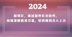 2024新项目，通过国外社交软件，快速涨粉精准引流，轻松做到月入上万【揭秘】-大东资源库