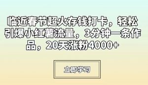临近春节超火存钱打卡，轻松引爆小红薯流量，3分钟一条作品，20天涨粉4000+【揭秘】-大东资源库