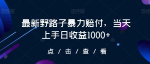 最新野路子暴力赔付，当天上手日收益1000+【仅揭秘】-大东资源库