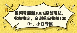 视频号最新100%原创玩法，收益稳定，亲测单日收益1000+，小白专属【揭秘】-大东资源库