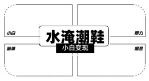 2024全新冷门水淹潮鞋无人直播玩法，小白也能轻松上手，打爆私域流量，轻松实现变现【揭秘】-大东资源库
