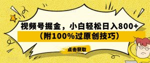 视频号掘金，小白轻松日入800+（附100%过原创技巧）【揭秘】-大东资源库